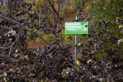 Šnipiškių bunkeriai