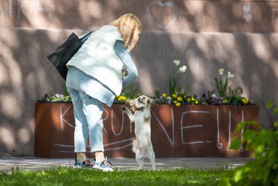 Pasivaikščiojimas su augintiniu, asociatyvi nuotr.