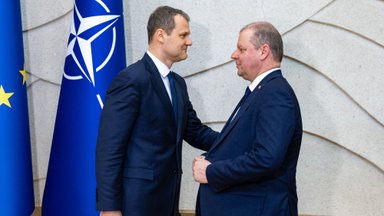 Iš esmės. Kodėl nesibaigia vieši Palucko ir Skvernelio kivirčai?