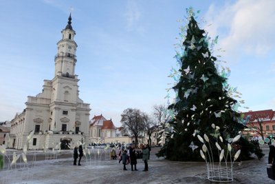 Kalėdų miestelis ir eglė Kauno Rotušės aikštėje