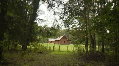 Gyventojai pasipiktino Seimo nario Raimundo Martinėlio veiksmais: iškirto medžius, mišką apsijuosė tvora (KK2 nuotr.)