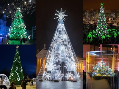 Vilniaus, Kauno, Klaipėdos, Šiaulių ir Panevėžio eglės