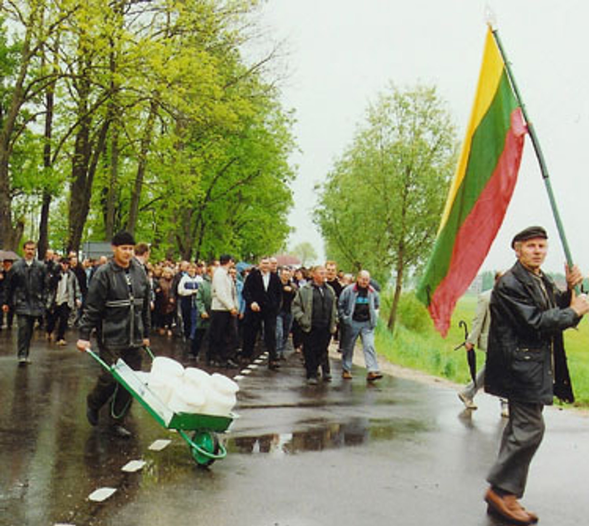 Pamąstymai “runkelių” tema - Delfi kartu