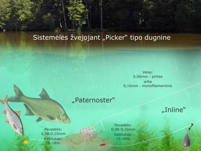 Schema. Žvejyba pickeriu