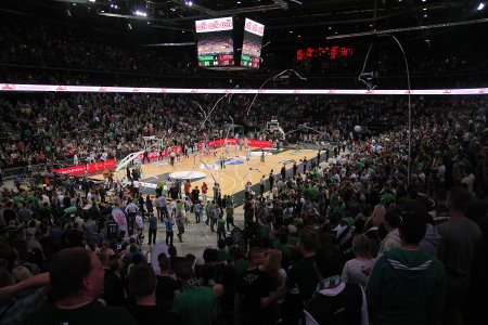 Kauno arena