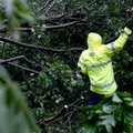 ESO vadovas: šiandieną nepavyks atkurti elektros tiekimo visiems vartotojams