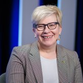 Ingrida Šimonytė. „Garnio“ gudrybės