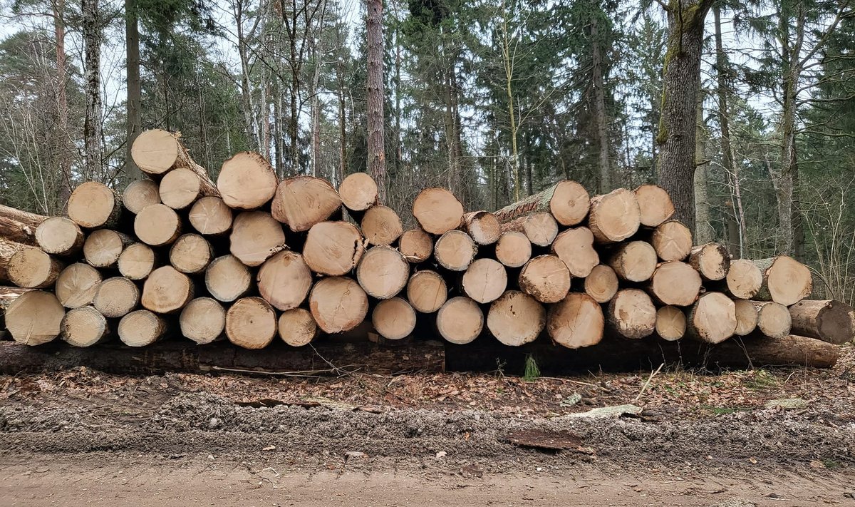 Kirtimai Verkių regioniniame parke