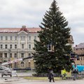 В этом году в Вильнюсе будут две елки, одна появится в необычном месте