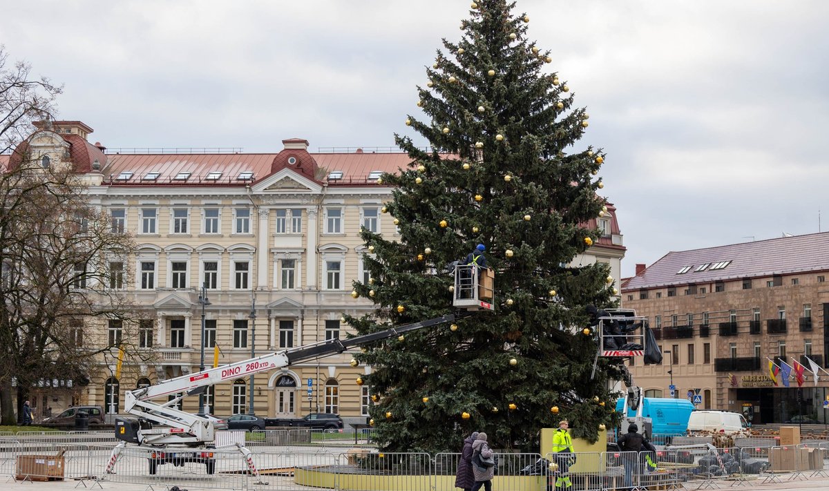 Katedros aikštėje puošiama Kalėdų eglė