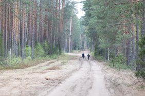 Nurodė, kas po nelaimės daroma Pabradės poligone: tai buvo pirmi svarbiausi žingsniai, atlikti nedelsiant