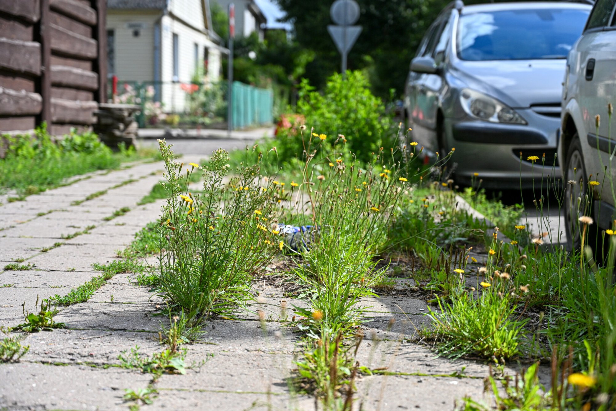 Uncut grass and trash: Owners warned of higher taxes, fines for neglected plots