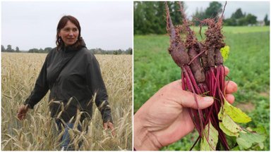 Genovaitė apie ekologišką ūkininkavimą ir ką labiausiai perka lietuviai – žmonės vertina kokybę, tad nusipiginti netenka