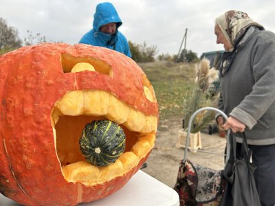 Moliūgas Veisiejų turguje