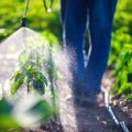 Siūlo pesticidų pakuotes rinkti atskirai: kuo tai būtų naudinga