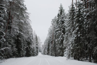 Miškas