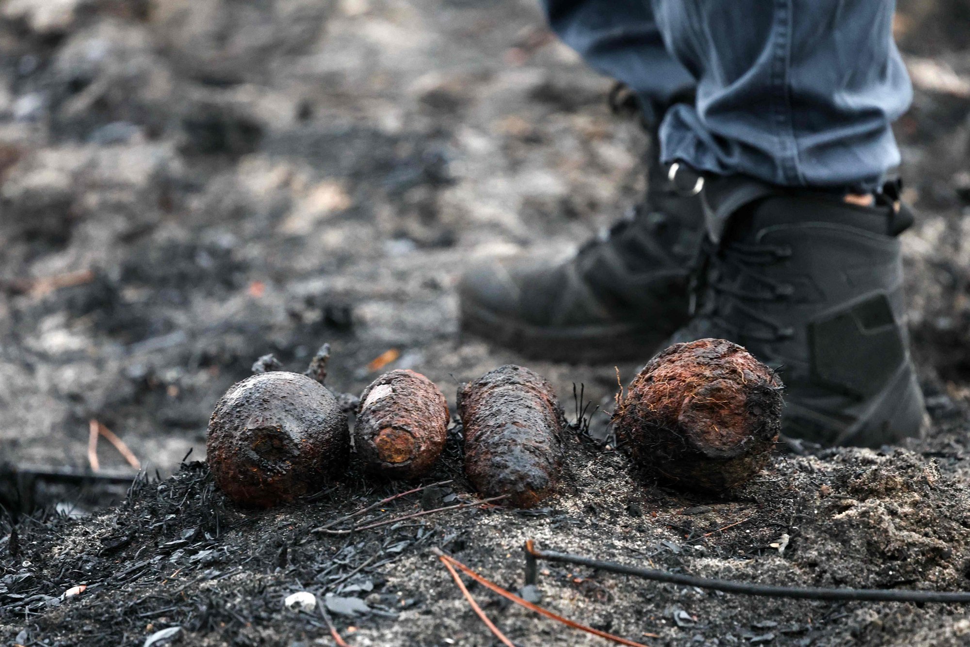 Dangerous find in France: Explosions heard as bomb disposal teams clear shells after wildfire