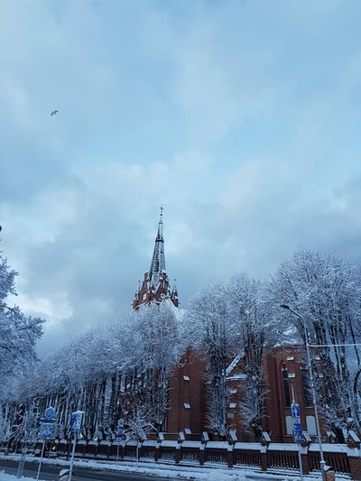 Almos Slaboševičienės nuotr.