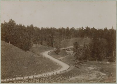 Ąžuolynas ties A. Mickevičiaus slėniu, 1885-1895 m.  // Vaclovas Zatorskis, Nacionalinio M. K. Čiurlionio dailės muziejaus nuotr.