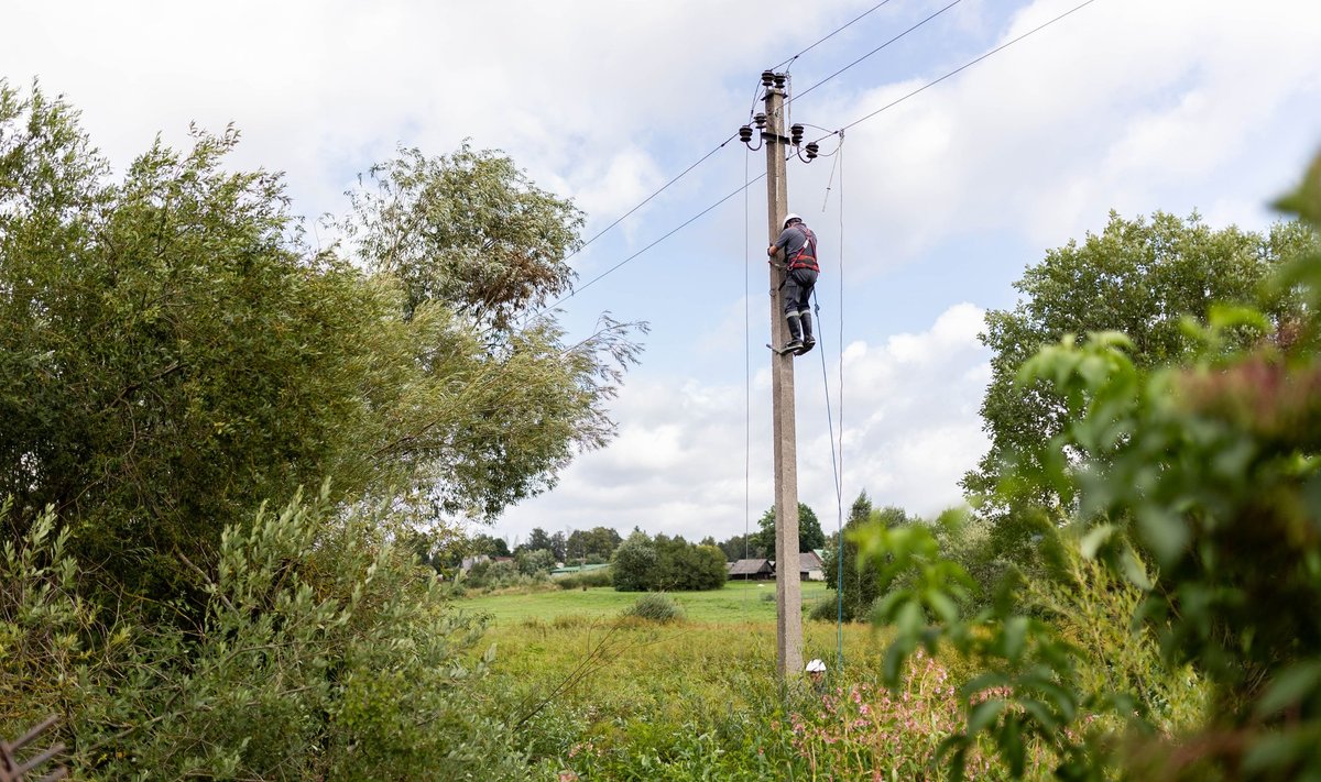 ESO darbuotojai šalina pažeistą elektros tinklą