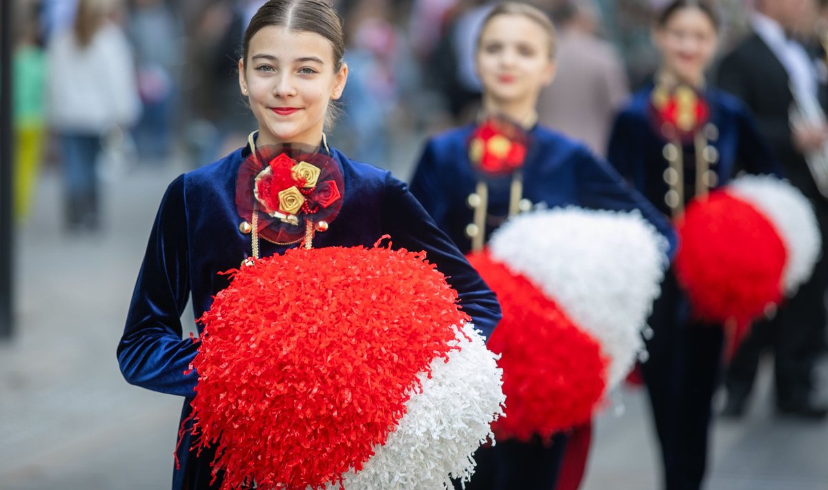 Lietuvos lenkų sąjungos eisena, Lenkų išeivijos dienai paminėti 