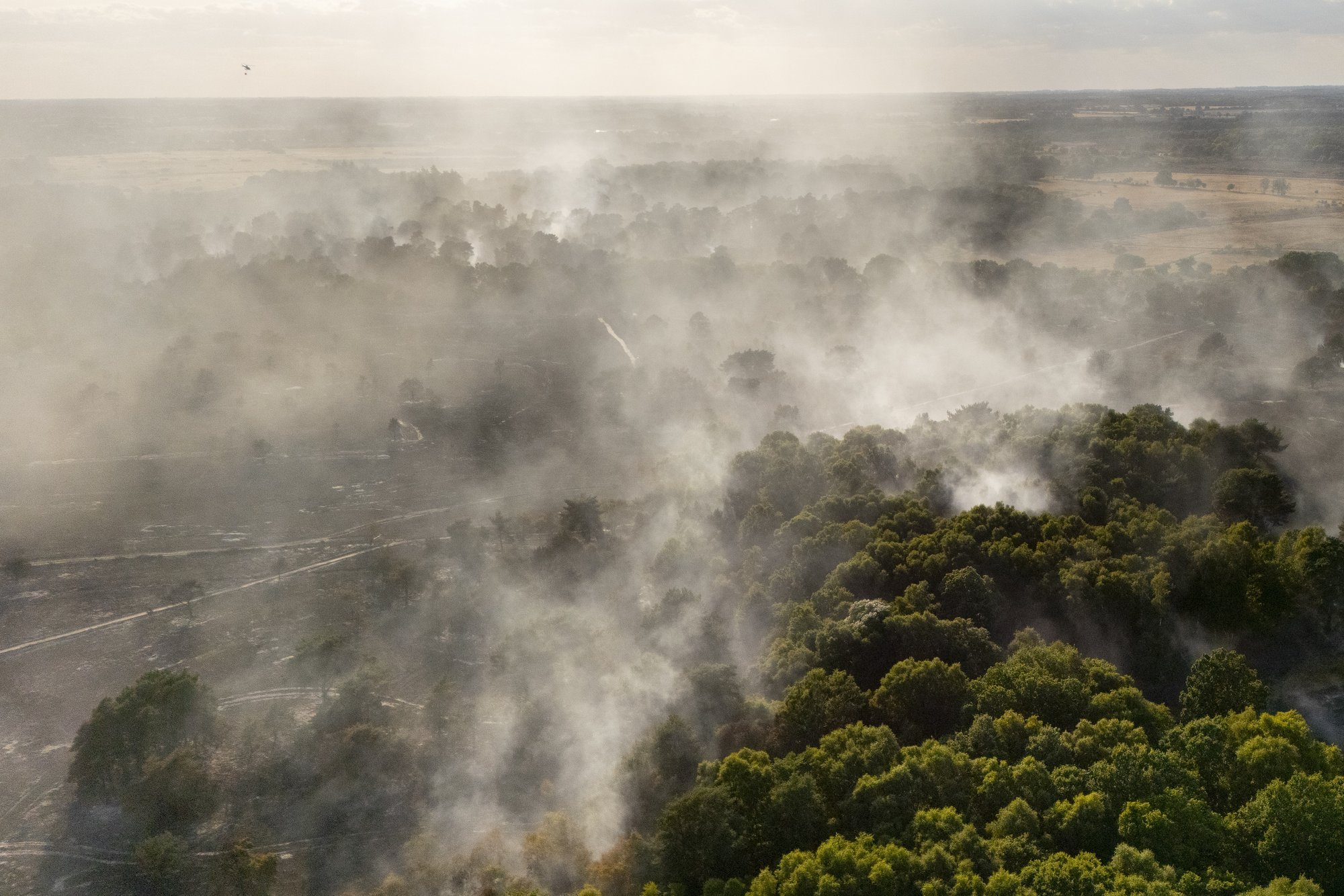 UK Firefighters Under Severe Pressure Battling Multiple Forest Fires Amid Heatwave