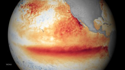 Šylantis klimatas keičia vandenynų ekosistemas.