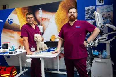 Augintinių šeimininkus konsultuos veterinarijos gydytojai