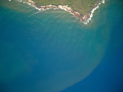 Šylantis klimatas keičia vandenynų ekosistemas.