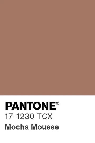 Mocha Mousse (PANTONE 17-1230)