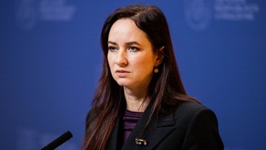 Премьер Литвы о возможных переговорах с Беларусью: задействованы все дипломатические каналы