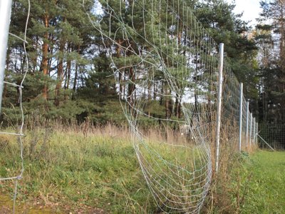 Šią tvorą kelyje Vilnius - Panevėžys nuolat suniokoja ne žvėrys 