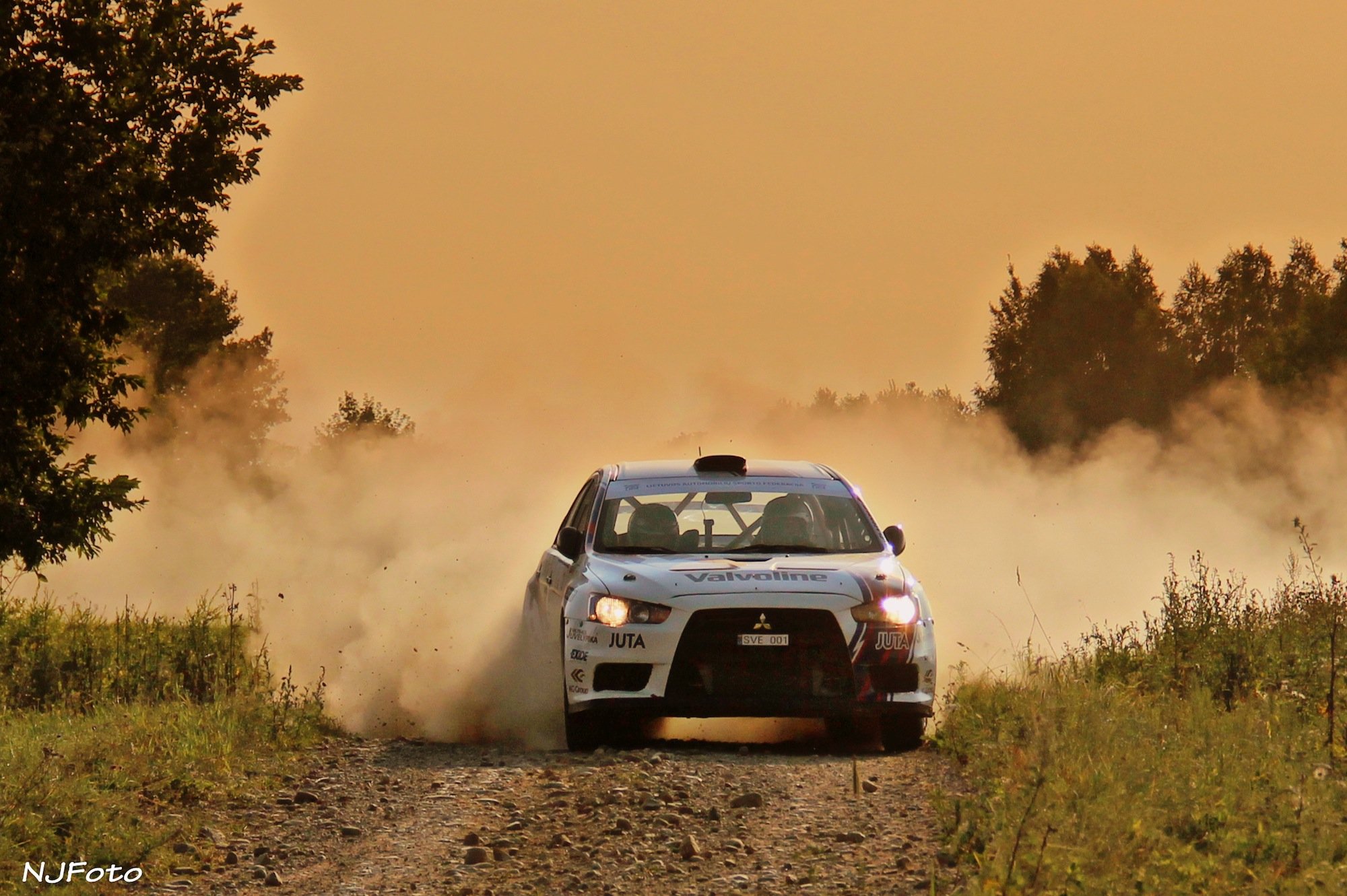 V. Švedas: ralis „Žemaitija 2014“ – vienas karščiausių karjeroje ...