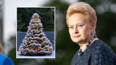 Dalios Grybauskaitės namų kieme sužibo eglė: Kalėdos vis vien ateis