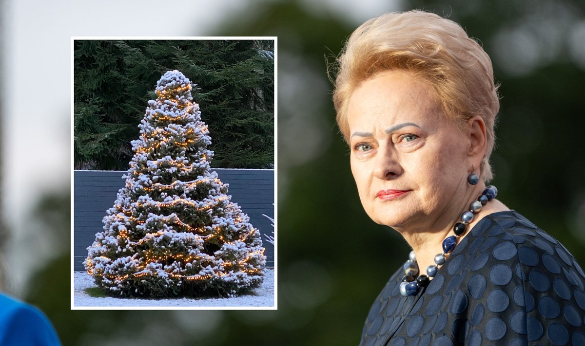 Dalia Grybauskaitė, Dalios Grybauskaitės kalėdinė eglė