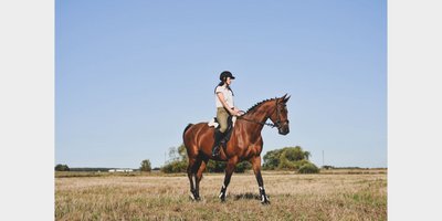 „MG Horses“ žirgynas