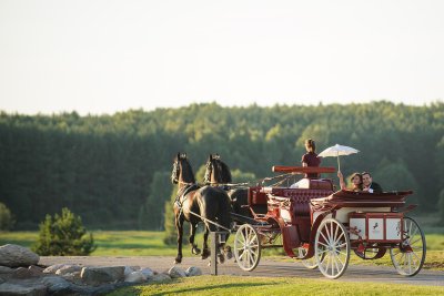 Dubingių žirgynas