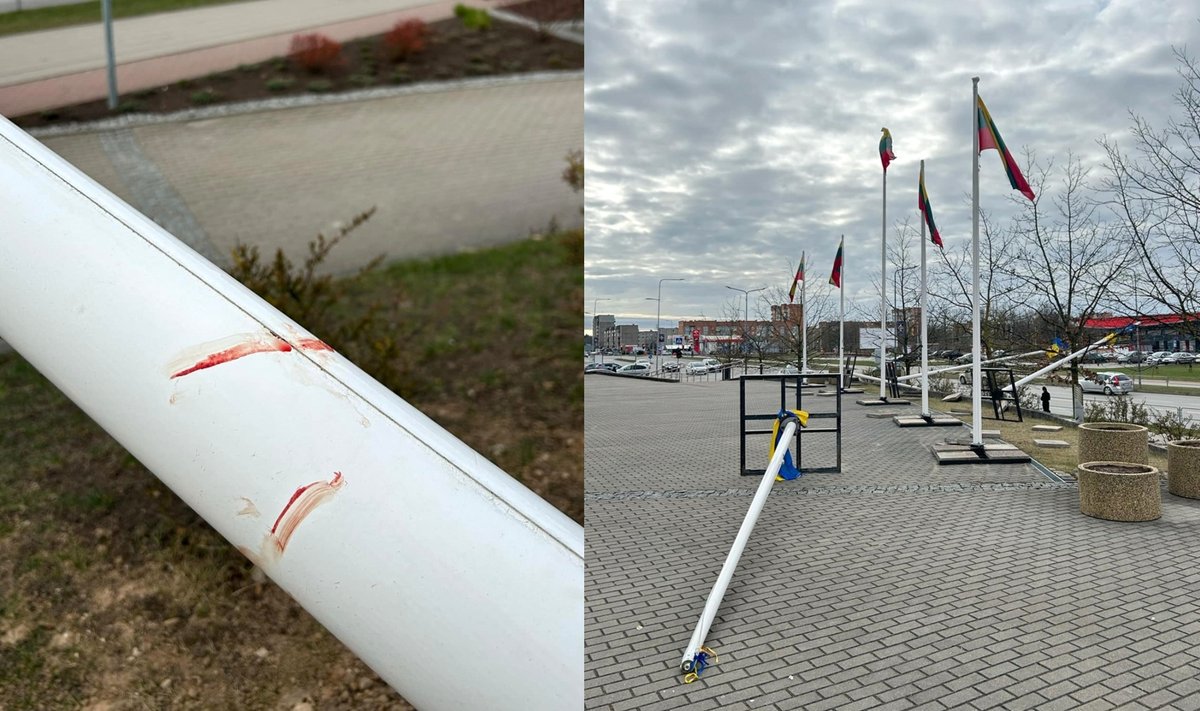 Vandalizmo atvejis – nuversti stiebai su Ukrainos vėliavomis