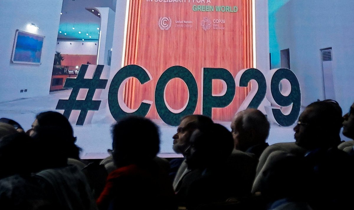 COP29