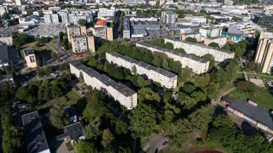Avulis: NT rinkoje – gana paradoksali situacija