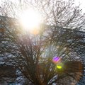 Весна в Литве начнется с очень теплой погоды