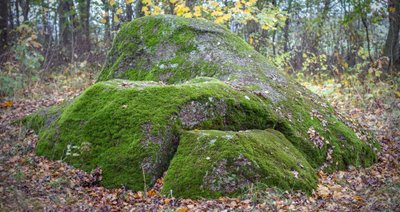 Laukagalio akmuo (Giedrės Streikauskaitės nuotr.)