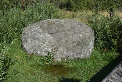 Šauklių riedulynas (V. Kesminės nuotr.)