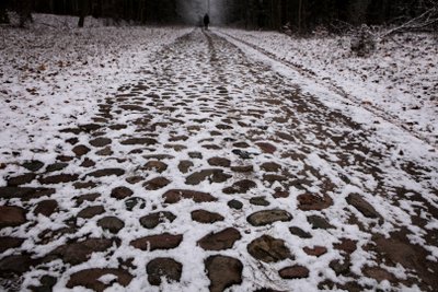 Viešvilės pažintinis takas