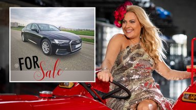 Nijolė Pareigytė-Rukaitienė parduoda savo „Audi A6“: tikisi gauti 27 tūkst. eurų