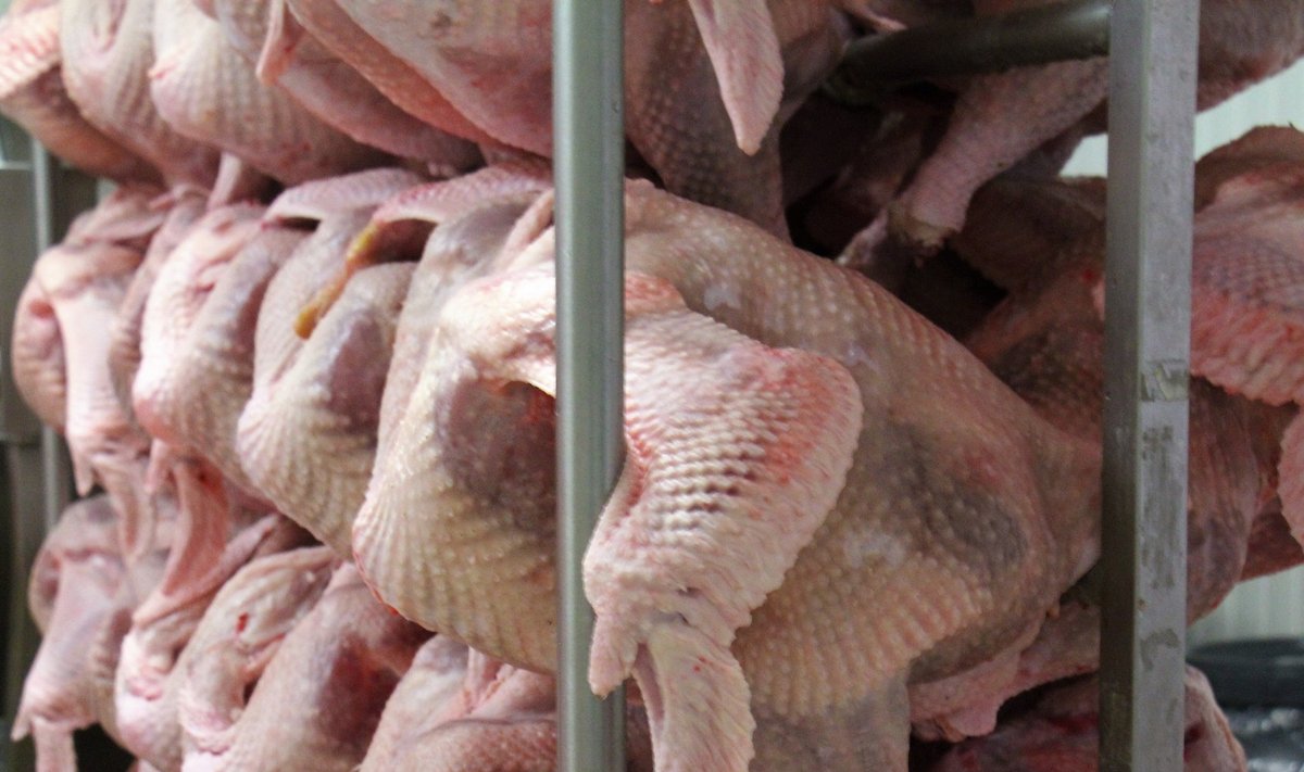 Litagra Litagra is entering turkey farming business - Delfi EN