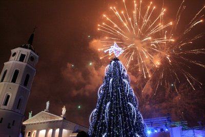 Vilnius, 2007 m. gruodžio 2 d. (ELTA). Gedimino Savickio (ELTA) nuotr.