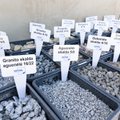 Statybų įmonės vadovas – apie darbuotojų pritraukimą į regionus: turime duoti automobilį, didesnį atlyginimą ir dar prigalvoti visokių bonusų
