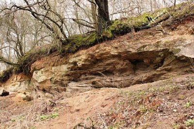 Greitai Kalniškių konglomeratų ir Žiegždrių atodangas sujungs pažintinis takas