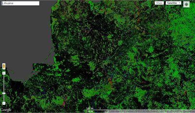 Lietuvos miškingi plotai (Merilendo universiteto sudarytas pasaulio miškų žemėlapis 